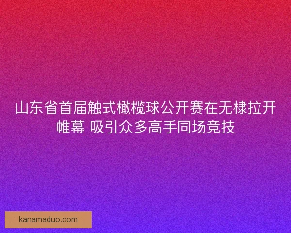 山东省首届触式橄榄球公开赛在无棣拉开帷幕 吸引众多高手同场竞技